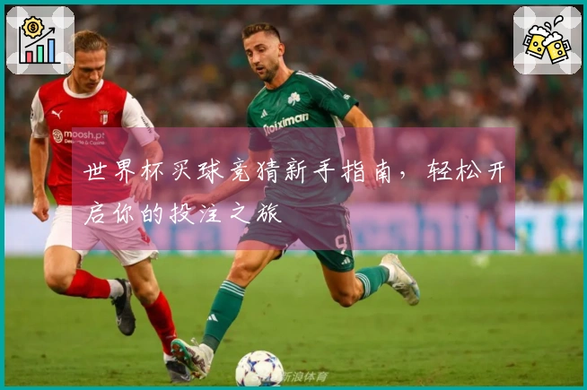世界杯买球竞猜新手指南，轻松开启你的投注之旅