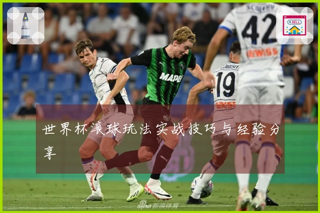 世界杯滚球玩法实战技巧与经验分享