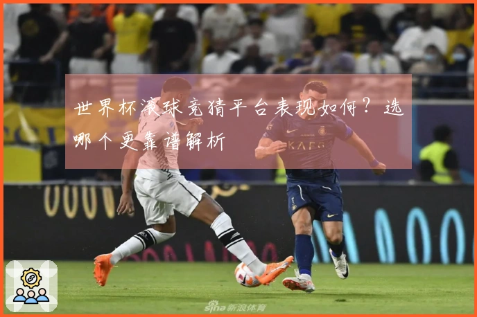世界杯滚球竞猜平台表现如何？选哪个更靠谱解析